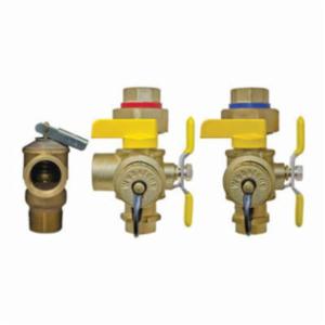 Webstone The Isolator&reg; E-X-P E2&trade; Clean Brass&trade; 50443WPR