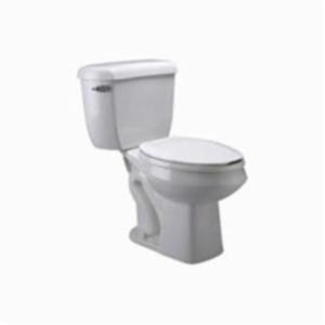 Zurn&reg; Ecovantage&reg; Z5560