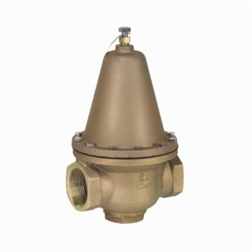WATTS&reg; 0298615