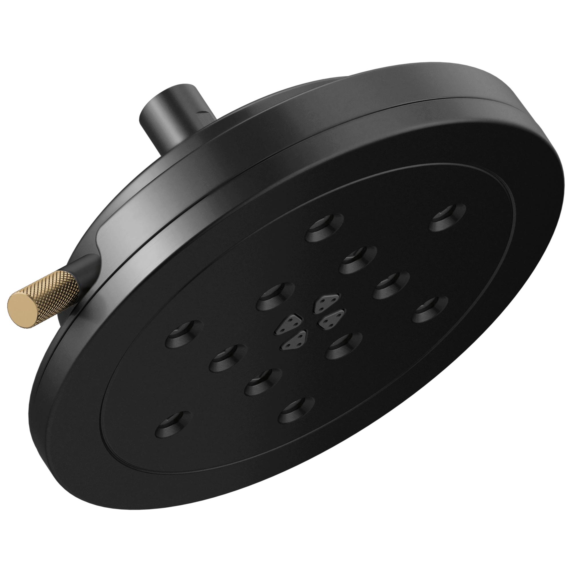 Brizo® 87435-BLGL Litze® Multi-Function Showerhead, 1.75 gpm Max Flow, Import